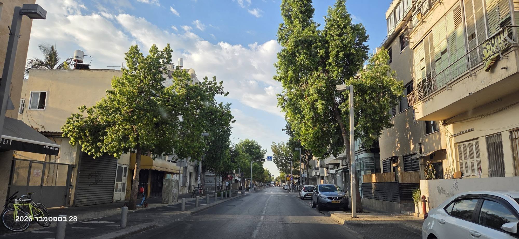 Tree-lined street in the Shapira neighborhood, Tel Aviv
